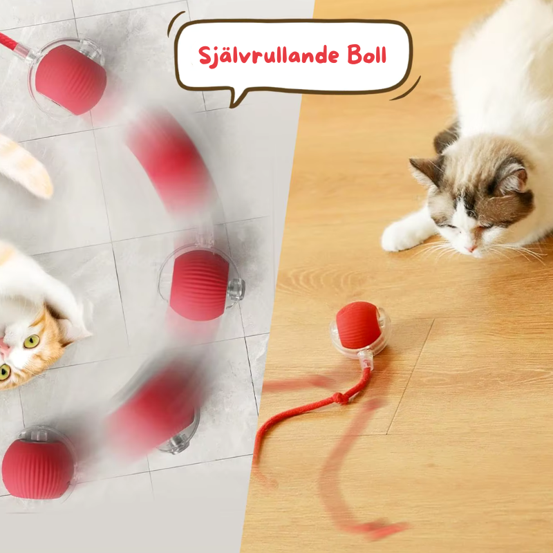 Automatisk Kattboll – Perfekt för Nyfikna & Lekfulla Katter
